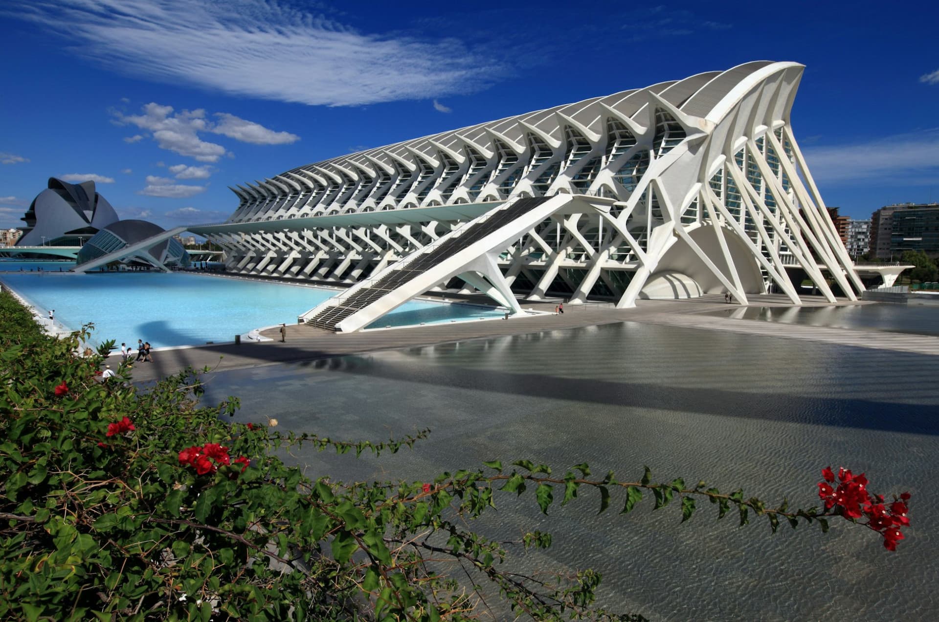 Science Museum Valencia Ticket - image 4